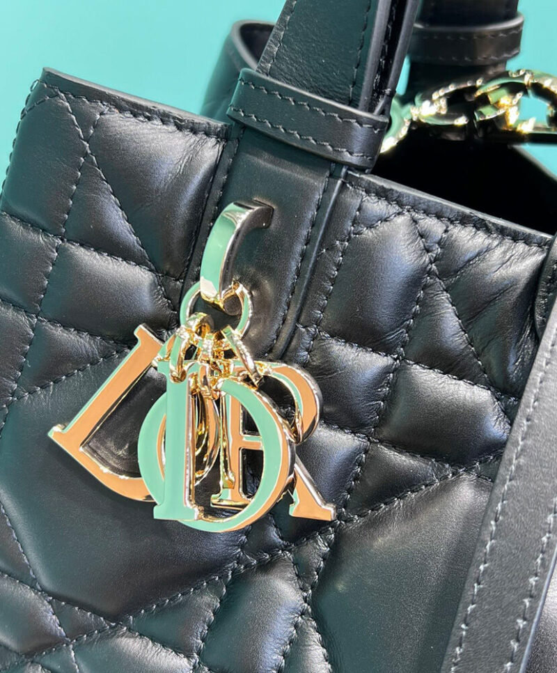 Christian Dior Medium Dior Toujours Bag